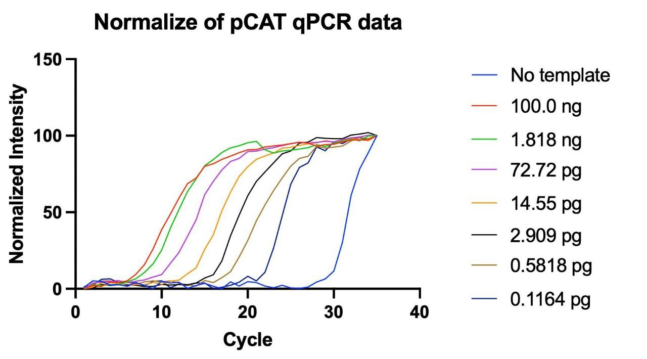 qPocketPCR – The Ultra-Compact Real-Time PCR Thermocycler – PocketPCR